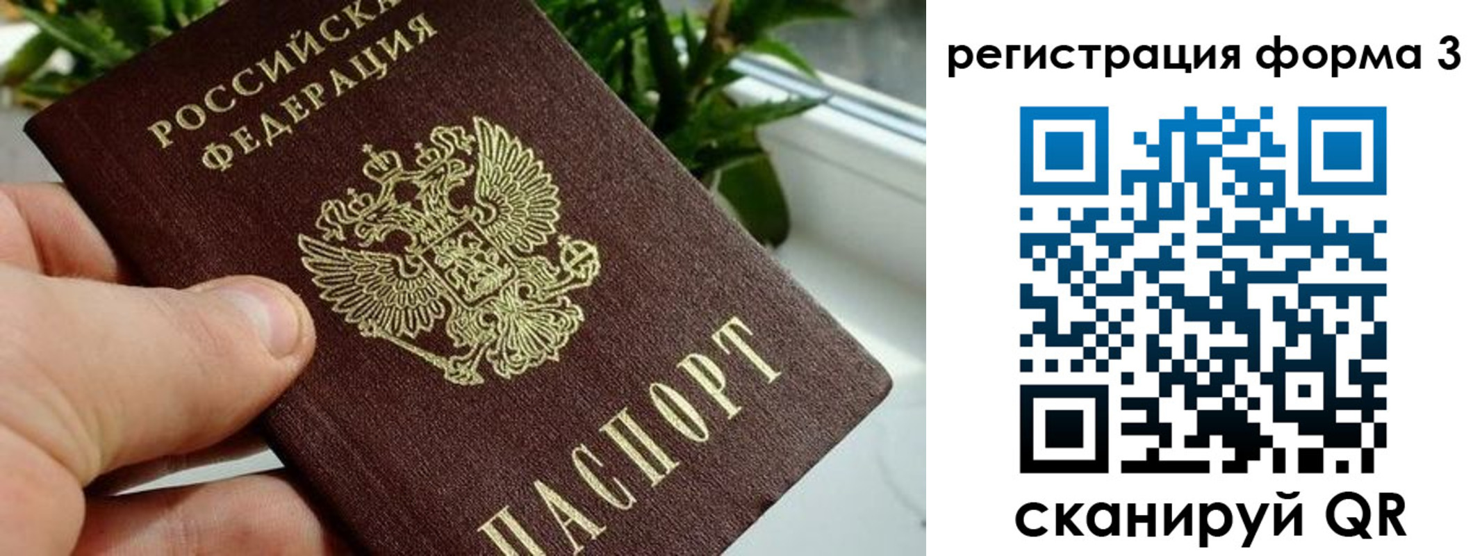 прописка штамп в Цивильске
